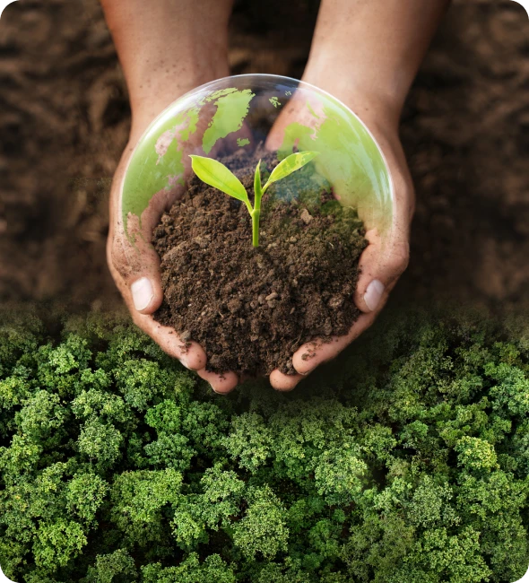 Ecological Focus