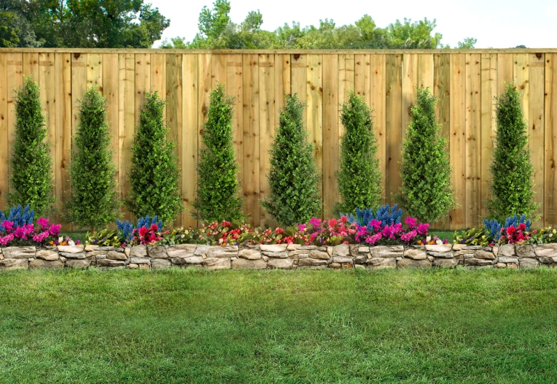 Neatly arranged garden with evergreen trees and colorful flowers along a wooden fence.