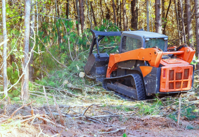 A skid-steer loader clearing a forested area.