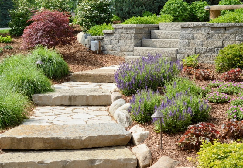 Stone steps surrounded by lush garden plants and shrubs.